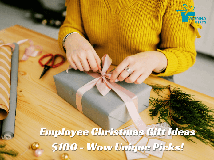 Employee Christmas Gift Ideas $100 - Wow Unique Picks! - wannagifts