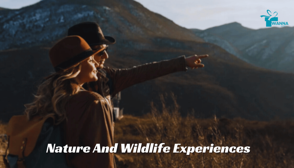 Nature And Wildlife Experiences - wanna gifts