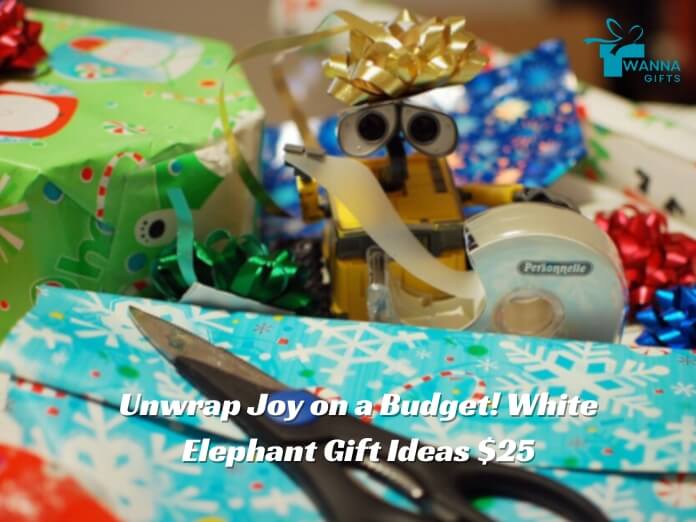 Unwrap Joy on a Budget! White Elephant Gift Ideas $25