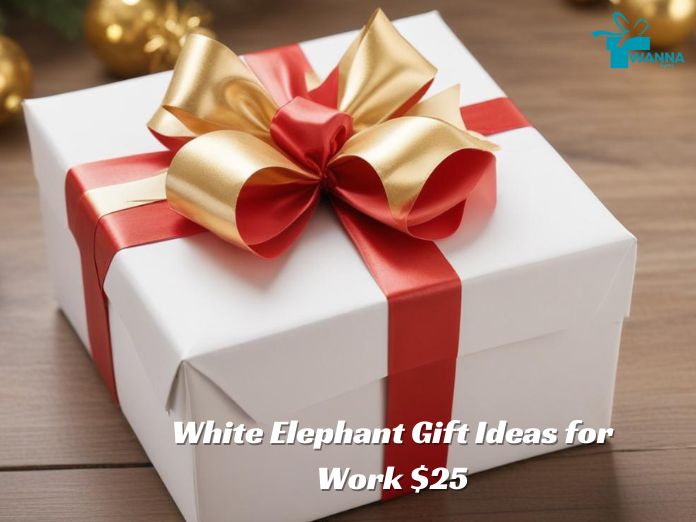 White Elephant Gift Ideas for Work $25